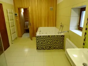 wellnes koupelna s vířivou vanou, finskou saunou, sprchovým koutem, WC a umyvadlem