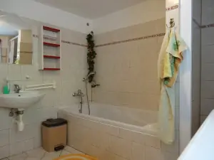 koupelna v přízemí s vanou, sprchovým koutem, WC a pračkou
