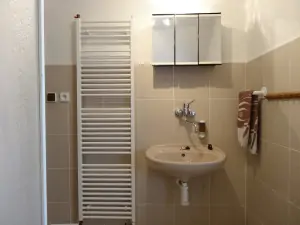koupelna v podkroví se sprchovým koutem a umyvadlem