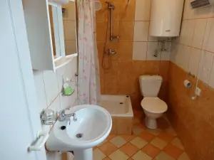 apartmán č. 1 - koupelna se sprchovým koutem, umyvadlem a WC