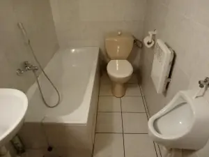 koupelna s vanou, WC, pisoárem a umyvdlem v podkroví