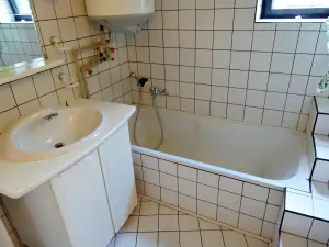 koupelna v přízemí (neaktuální fotografie!!!) - koupelna je vybavena sprchovým koutem, dvojumyvadlem a pračkou