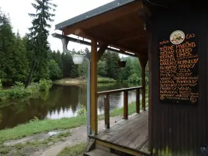 občerstvení u Lesního rybníku, který se nachází 200 m od chaty