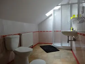 koupelna se sprchovým koutem, WC a umyvadlem (je součástí ložnice č. 5 v podkroví)
