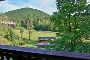 výhled z okna na okolní lesy
