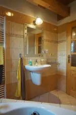 koupelna se sprchovým koutem a umyvadlem v přízemí (vana není k dispozici)