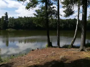 rybník Valcha se nachází cca. 1 km od chaty - možnost rybolovu