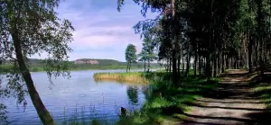 okolí Komárovského rybníka nabízí pěkné procházky přírodou