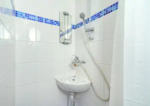 podkroví - ložnice č. 7 - se 2 lůžky, sprchovým koutem a samostatným WC