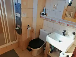 sprchový kout, umyvadlo a WC v koupelně