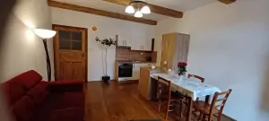 apartmán č. 1 - obytná kuchyně