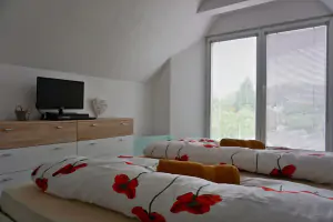 ložnice s dvojlůžkem a TV