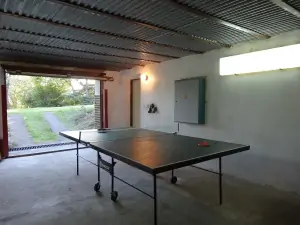 stolní tenis v garáži
