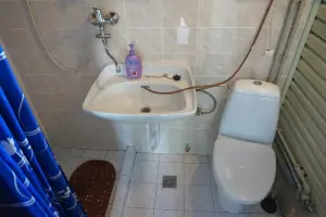 kopelna se sprchovým koutem, umyvadlem a WC