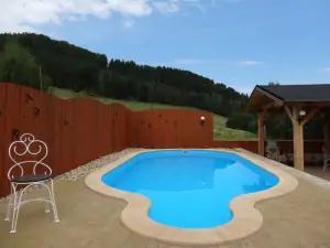 Zapuštěný bazén (8 x 3,5 x 1,5 m)