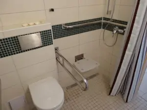 Bezbariérový sprchový kout v koupelně