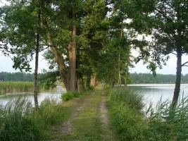 Hráze rybníků jsou lemovány starými duby, břízami či porosty olší a vrb a nabízí tak příjemnou procházku.