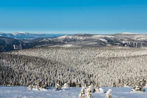 Pohled na pohoří Králický Sněžník.