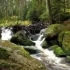 Národní park Šumava