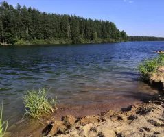 Pískovny nabízejí čistou vodu a jsou obklopené třeboňskou přírodou.