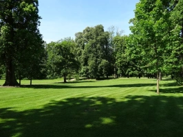 zámecký anglický park