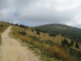 turistická stezka z Dvoraček směrem na Pančavskou louku a k prameni Labe