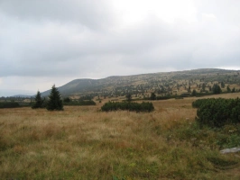 Pančavská louka nedaleko od Labské boudy
