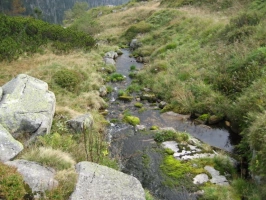 řeka Labem protékající kolem Labské boudy 1 km pod pramenem