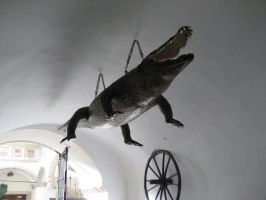 na Staré radnici můžou návštěvníci obdivovat symboly Brna - brněnského draka a brněnské kolo