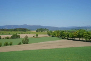 panorama Krkonoš z rozhledny U borovice