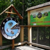 Expozice Život v korunách stromů - naučná stezka Beskydské nebe