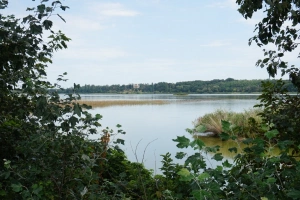 národní přírodní rezervace Lednické rybníky - Mlýnský rybník