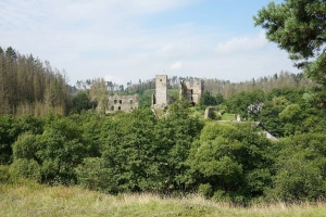 v přírodní rezervaci Údolí Brtnice se nachází zřícenina hradu Rokštejn