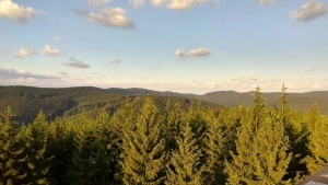 lesy v okolí rozhledny Miloňová
