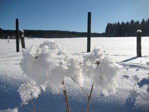 Zimní krajina 