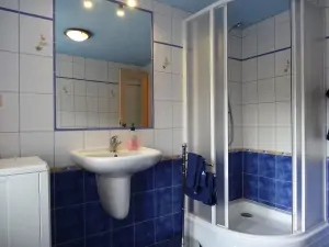 koupelna v podkroví je vybavena sprchovým koutem, umyvadlem a pračkou