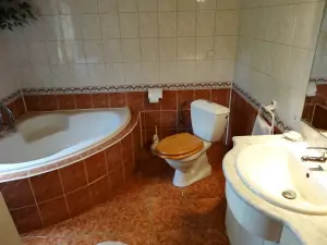 koupelna je vybavena sprchovým koutem, vanou, WC a umyvadlem