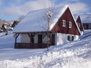 Zima ve villaparku