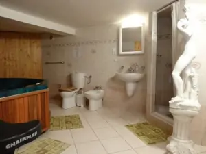 Wellness místnost slouží také jako koupelna - je zde sprchový kout, WC, bidet a umyvadlo