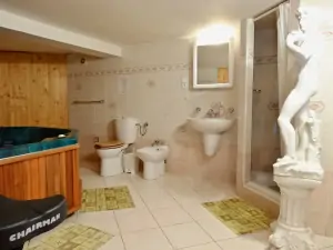 wellness místnost slouží také jako koupelna - je zde sprchový kout, WC, bidet a umyvadlo