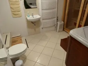 wellness místnost - umyvadlo a WC