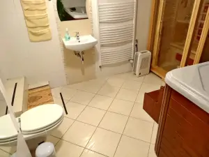 wellness místnost - umyvadlo a WC