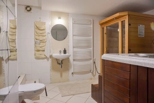 wellness koupelna v suterénu - akrylátová vířivka, infrasauna, umyvadlo a WC