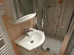 Koupelna se sprchovým koutem a umyvadlem