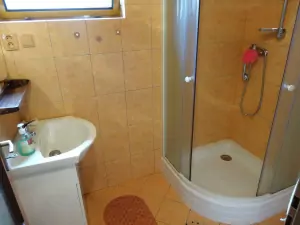 koupelna je vybavena sprchovým koutem a WC