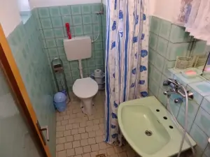 koupelna je vybavena ruční sprchou, WC a umyvadlem