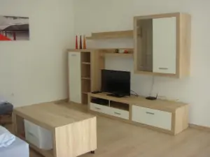 nábytková stěna s TV v obytné místnosti