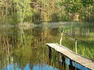 Chata Lhota se nachází přímo u rybníka Probošt