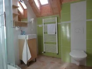 k ložnicím v podkroví náleží koupelna se sprchovým koutem, WC a umyvadlem