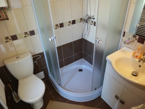 koupelna je vybavena sprchovým koutem, WC a umyvadlem